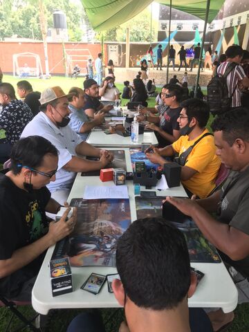 MTG